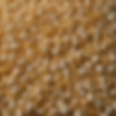 Unique Properties of Popped Kernels Close-up view of popped popcorn kernels