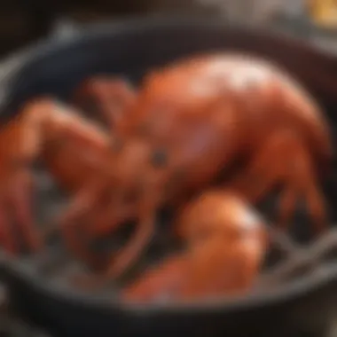 A close-up of a lobster pot showcasing its functional features