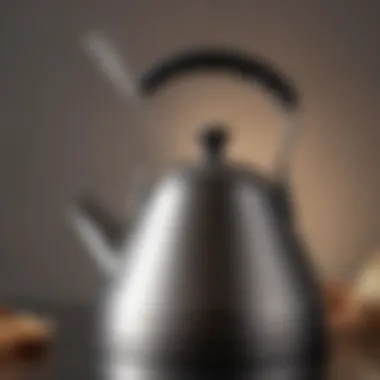 The Whistling Mechanism of a Small Tea Kettle Close-up of the spout demonstrating whistling mechanism