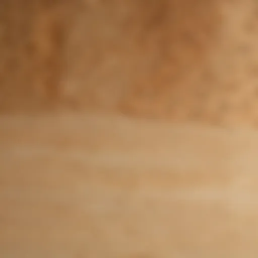 Close-up view of the grain patterns on a maple wood cutting board