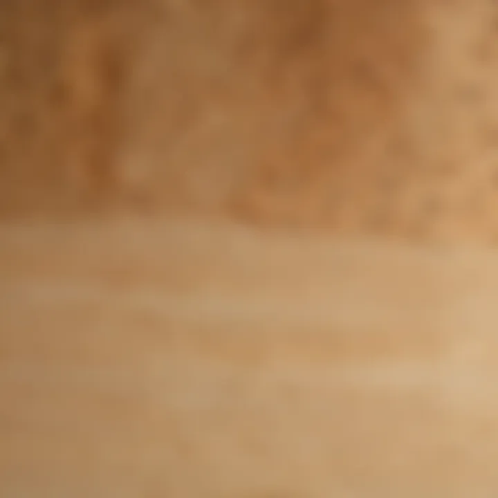 Close-up view of the grain patterns on a maple wood cutting board