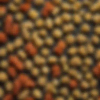 Diverse Pasta Shapes for Salads An illustration of various pasta shapes used in salads.
