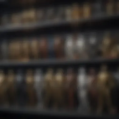 A stunning collection of Star Wars action figures displayed on a shelf