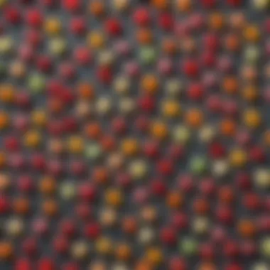 Selection of Gelatin-Free Candy Alternatives Variety of gelatin-free candies displayed artistically to emphasize options for dietary restrictions