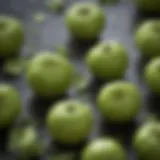 Fresh tomatillos showcasing their vibrant green skin