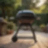 Detailed view of a Weber Q grill model
