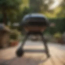 Detailed view of a Weber Q grill model