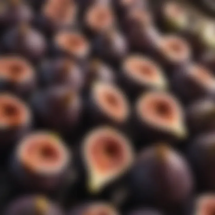 Close-up of premium quality figs displayed in a specialty store